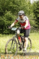 Photo 4240040
