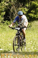 Photo 4240041