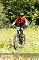 Photo 4240093