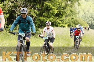 Photo 4240268