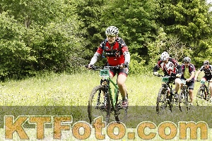 Photo 4240372