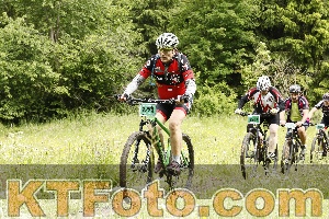 Photo 4240373