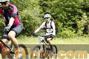 Photo 4240386