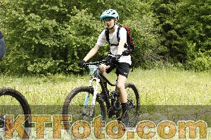 Photo 4240388