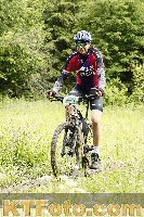 Photo 4240393