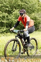 Photo 4240414