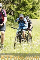 Photo 4240422