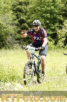 Photo 4240426
