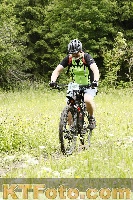 Photo 4240461