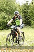 Photo 4240464