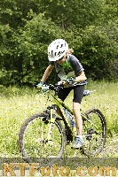 Photo 4240472