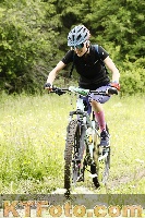 Photo 4240503