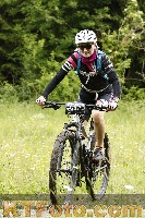 Photo 4240516