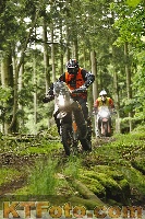 Photo 4240548