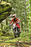 Photo 4240554