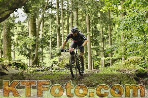 Photo 4240558