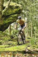 Photo 4240563