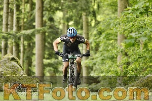 Photo 4240575