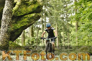 Photo 4240577