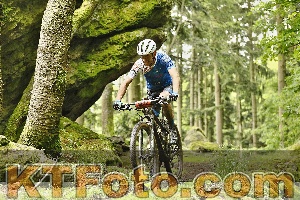 Photo 4240579