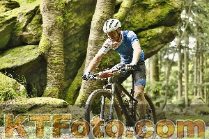Photo 4240580