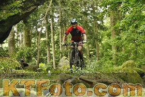 Foto 4240762
