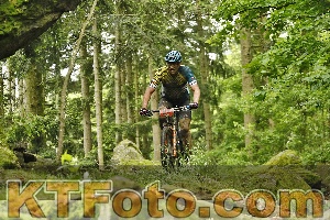 Photo 4240789