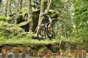 Photo 4240791