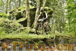 Photo 4240794