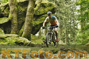 Foto 4240819