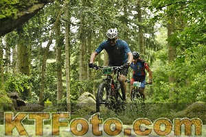 Photo 4240824