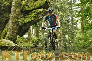 Photo 4240825
