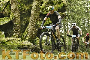 Photo 4240836