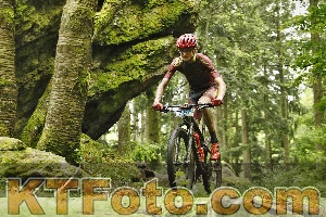 Photo 4240839
