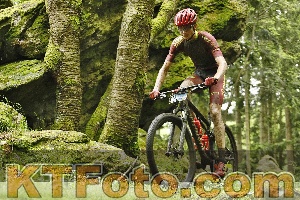 Photo 4240840