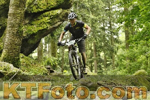 Photo 4240851