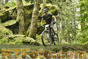 Photo 4240852