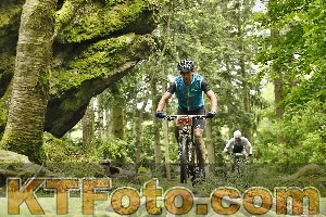 Photo 4240870