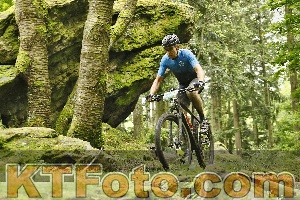 Photo 4240878