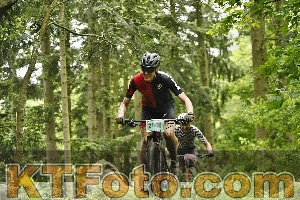 Photo 4240895