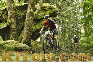 Photo 4240897