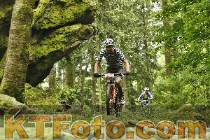 Photo 4240899