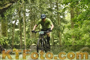 Photo 4240925