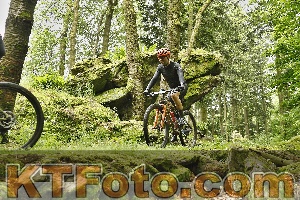 Photo 4240933