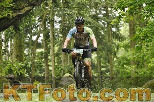 Photo 4240966
