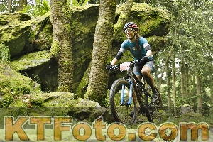 Photo 4240970