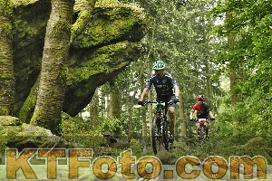 Photo 4240977