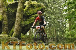 Photo 4240979