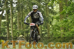 Photo 4240986