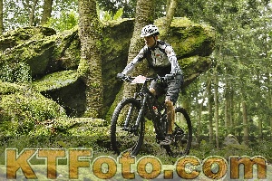 Photo 4240989
